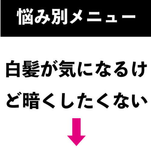 ここから下が「白髪は気になるけど暗くしたくない」方のメニューです