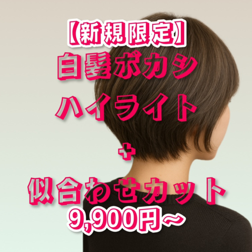 【ご新規限定】似合わせカット+白髪ぼかしハイライト