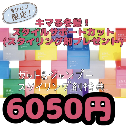 キマる冬髪！スタイルサポートカット（スタイリング剤プレゼント）